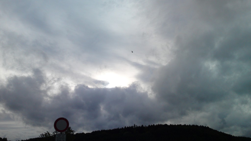 cloud-butterfly-milan-08-09-11