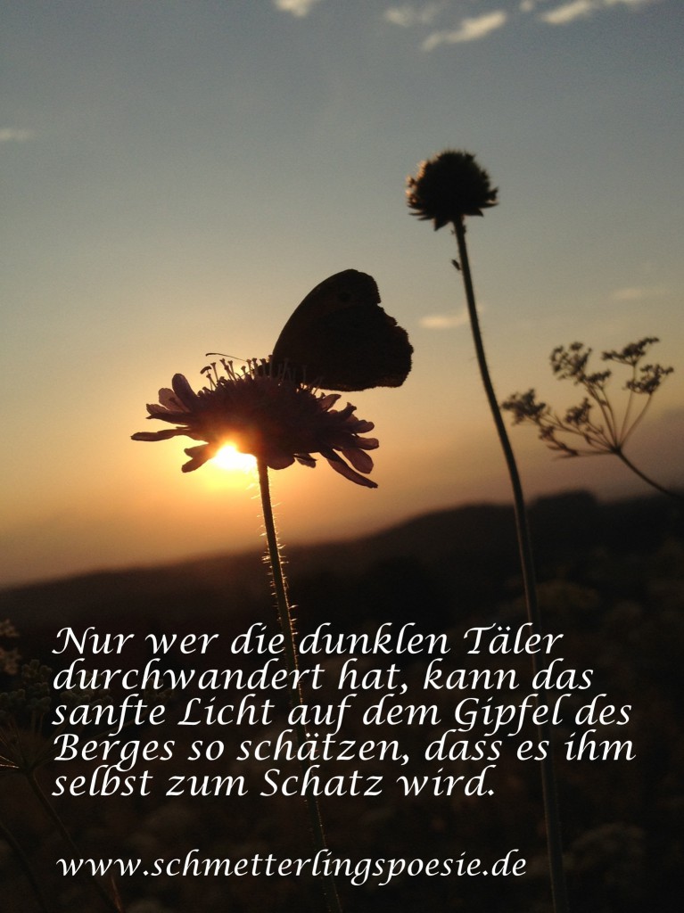 butterfly-47-1-text